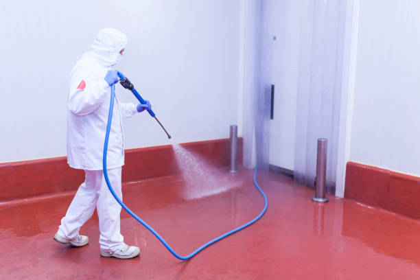 Best Pool Deck Cleaning  in Ricardo, TX