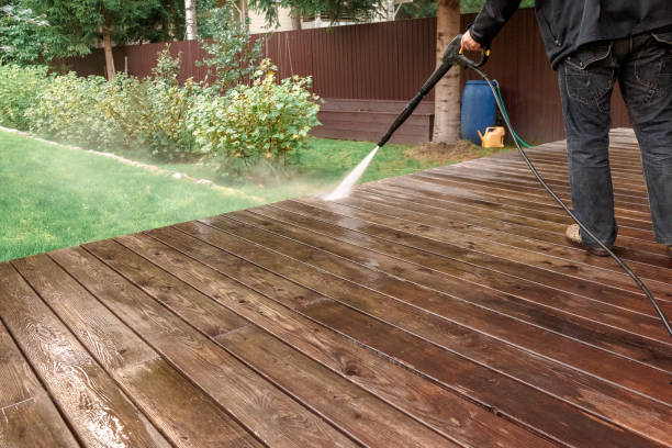 Best Fence Cleaning  in Ricardo, TX