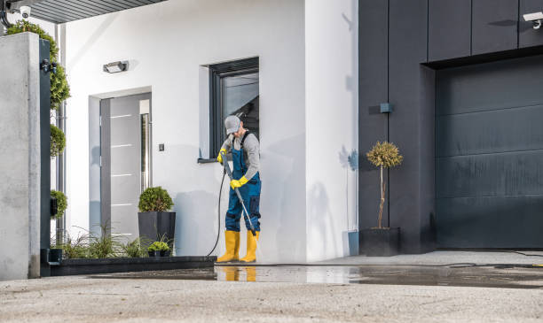 Professional Pressure Washing Services in Ricardo, TX